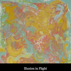 016-ILLUSION-IN-FLIGHT